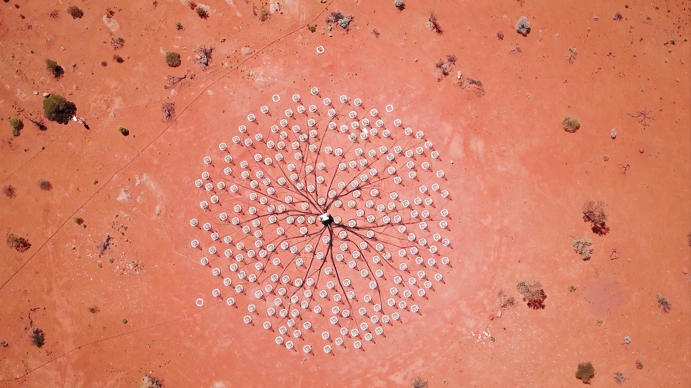 A network of radio antennas in the Western Australian desert.